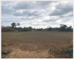  2023Ÿ��30616  �����