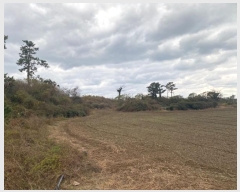  2023Ÿ��30616  �����