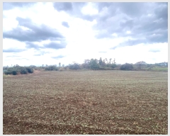  2023Ÿ��30616  �����