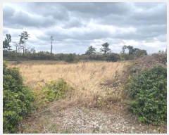  2023Ÿ��30616  �����