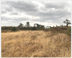  2023Ÿ��30616  �����