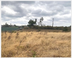  2023Ÿ��30616  �����