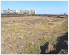  2023Ÿ��9933 ���� ���ֽ� �쵵�� ���� 913      ����(��1)���