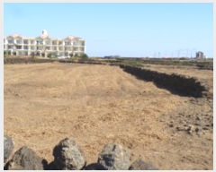  2023Ÿ��9933 ���� ���ֽ� �쵵�� ���� 913      ����(��1)���