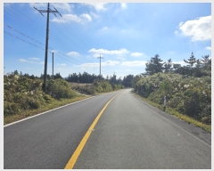  2023Ÿ29982   ȴ õ 570      (Ӿ)