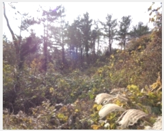  2023Ÿ29982   ȴ õ 570      (Ӿ)