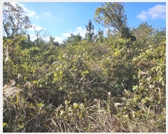  2023Ÿ29982   ȴ õ 570      (Ӿ)