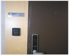  2023Ÿ��8206  �ܵ�(ȣ��)���