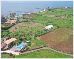  2023Ÿ��25188 ���� ���ֽ� �Ѹ��� ���縮 ��97      ����(��1)���