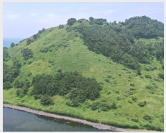  2023Ÿ��25188 ���� ���ֽ� �Ѹ��� ���縮 ��97      ����(��1)���