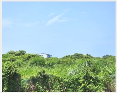  2023Ÿ��25188 ���� ���ֽ� �Ѹ��� ���縮 ��97      ����(��1)���