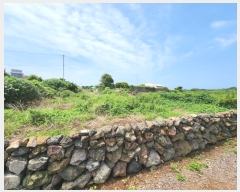  2023Ÿ��25188 ���� ���ֽ� �Ѹ��� ���縮 ��97      ����(��1)���