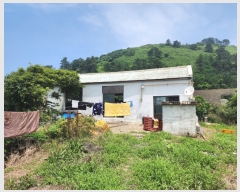  2023Ÿ��25188 ���� ���ֽ� �Ѹ��� ���縮 ��97      ����(��1)���