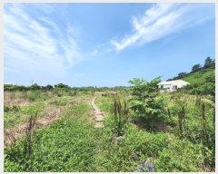  2023Ÿ��25188 ���� ���ֽ� �Ѹ��� ���縮 ��97      ����(��1)���