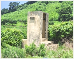  2023Ÿ��25188 ���� ���ֽ� �Ѹ��� ���縮 ��97      ����(��1)���