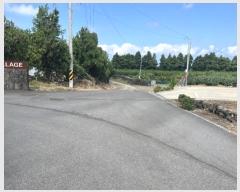  2023Ÿ��8916 ���� ���ֽ� ��õ�� �ͻ긮 1559-1      �ܵ�����,�����ð��