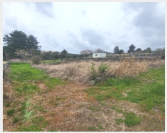  2023Ÿ22721  ֽ õ 긮 2509-9      (1)