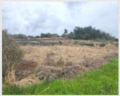  2023Ÿ22721  ֽ õ 긮 2509-9      (1)