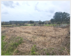  2023Ÿ22721  ֽ õ 긮 2509-9      (1)