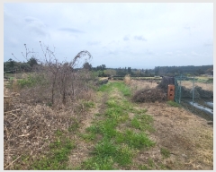  2023Ÿ22721  ֽ õ 긮 2509-9      (1)