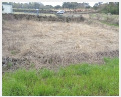  2023Ÿ22721  ֽ õ 긮 2509-9      (1)