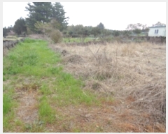  2023Ÿ22721  ֽ õ 긮 2509-9      (1)