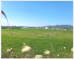  2023Ÿ��30968 ���� �������� ������ ���긮 2914      ����(�Ӿ�)���