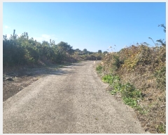  2023Ÿ��30968 ���� �������� ������ ���긮 2914      ����(�Ӿ�)���