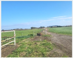  2023Ÿ��30968 ���� �������� ������ ���긮 2914      ����(�Ӿ�)���