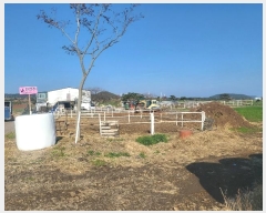  2023Ÿ��30968 ���� �������� ������ ���긮 2914      ����(�Ӿ�)���