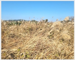  2023Ÿ��30968 ���� �������� ������ ���긮 2914      ����(�Ӿ�)���