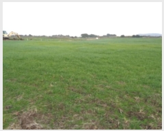  2023Ÿ��30968 ���� �������� ������ ���긮 2914      ����(�Ӿ�)���