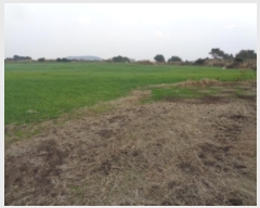  2023Ÿ��30968 ���� �������� ������ ���긮 2914      ����(�Ӿ�)���