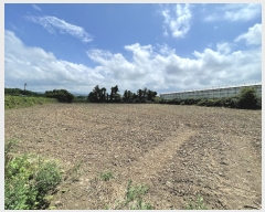  2023Ÿ��7265  �����