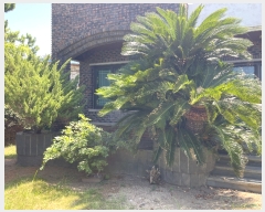  2023Ÿ��7265  �����