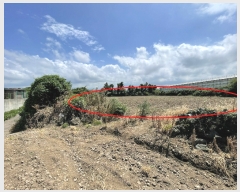  2023Ÿ��7265  �����