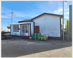  2023Ÿ��13192 ���� �������� ������ ���긮 98      ����,â�����