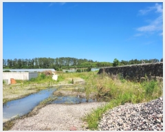  2023Ÿ��24567  ���������