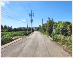  2023Ÿ��24567  ���������