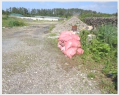  2023Ÿ��24567  ���������