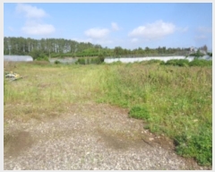  2023Ÿ��24567  ���������