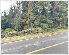  2023Ÿ29111   ǥ ǥ 2634-3      (Ӿ)