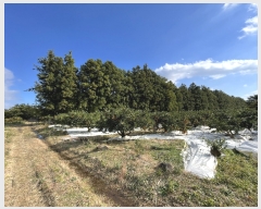  2023Ÿ��30104 ���� �������� ������ �Ϸʸ� 1809      ����(������)���