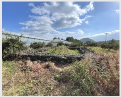  2023Ÿ��30104 ���� �������� ������ �Ϸʸ� 1809      ����(������)���