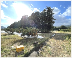  2023Ÿ��30104 ���� �������� ������ �Ϸʸ� 1809      ����(������)���