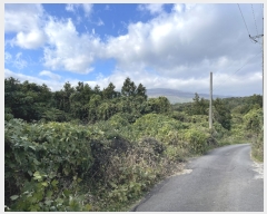  2023Ÿ��30104 ���� �������� ������ �Ϸʸ� 1809      ����(������)���