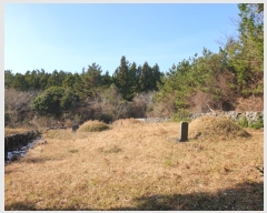  2023Ÿ��31053  �Ӿ߰��