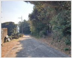  2023Ÿ��31053  �Ӿ߰��