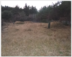  2023Ÿ��31053  �Ӿ߰��