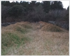  2023Ÿ��31053  �Ӿ߰��